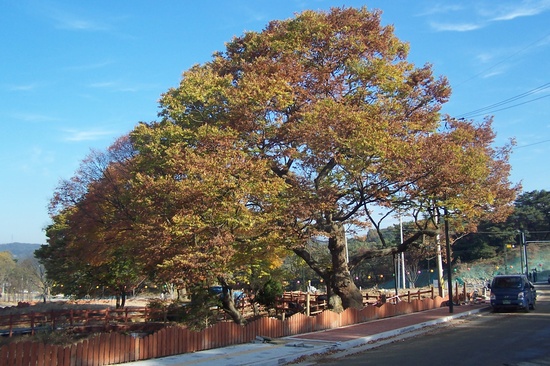 북한산마실 이미지