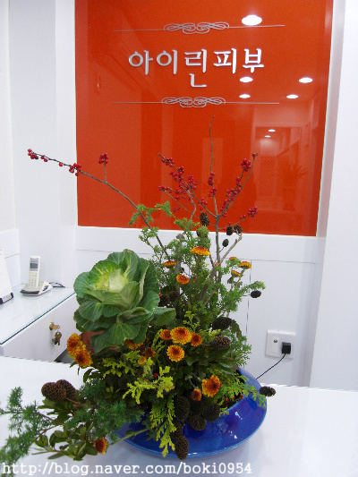 동부피부관리실 이미지