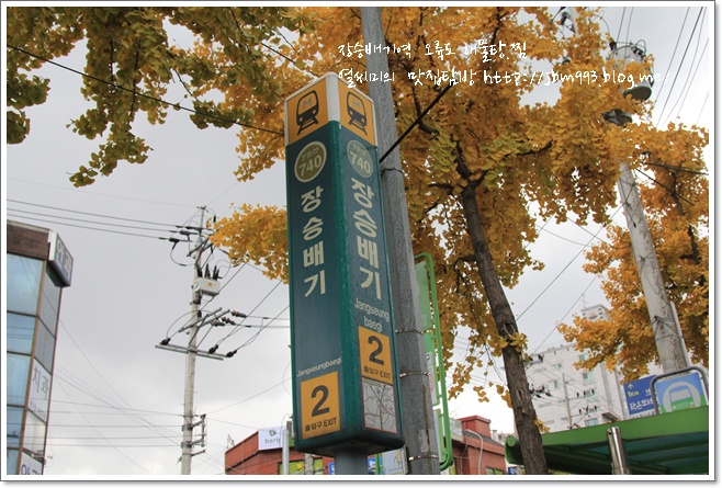 오륙도해물 이미지