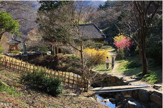 보성기업 주식회사 이미지