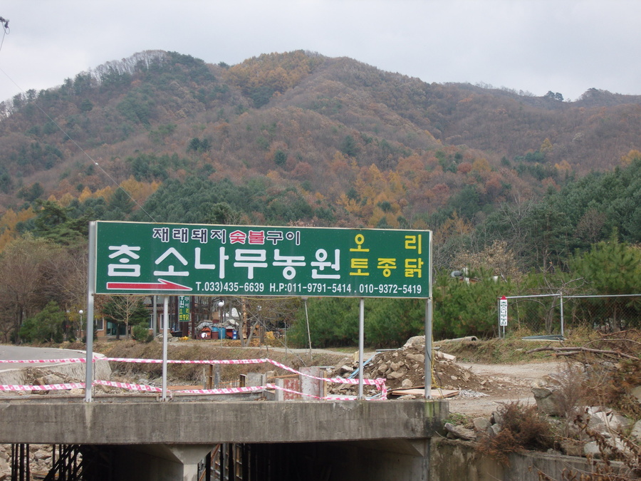 참소나무농원 이미지