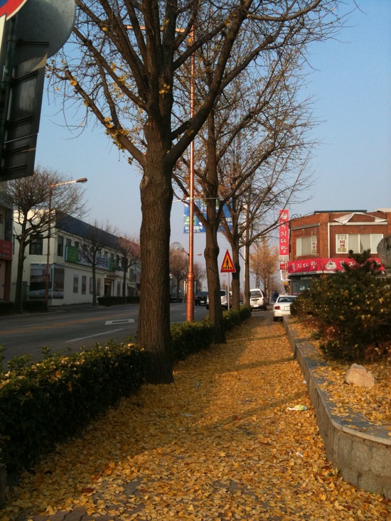 꼭지다방 이미지