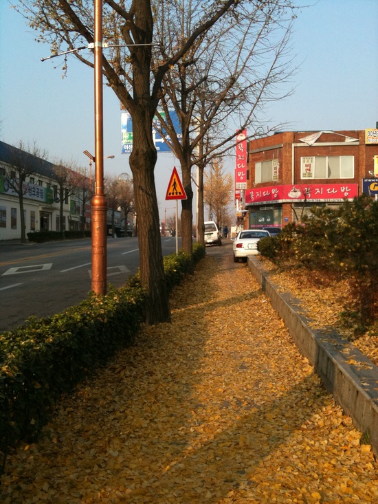꼭지다방 이미지