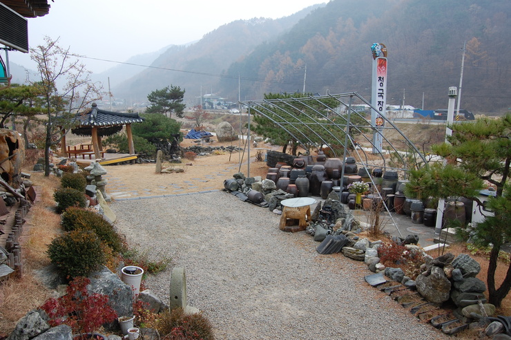 홍삼청국장 이미지