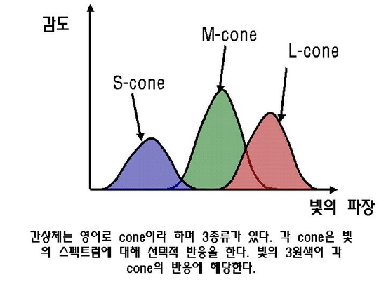 색맹, 색약, 색각 이상 - 오해와 이해 : 네이버 블로그