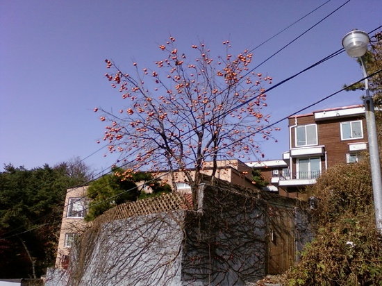 할머니두부정릉 이미지