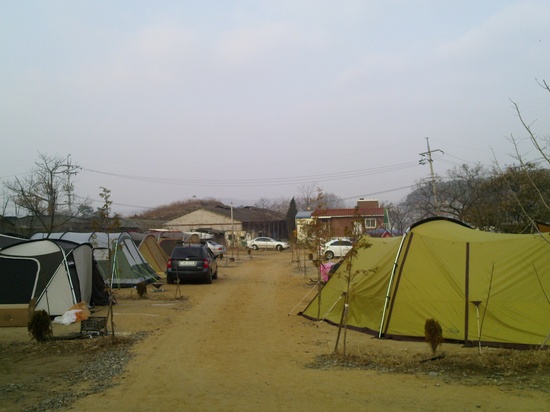 느티나무그늘아래캠핑장 이미지