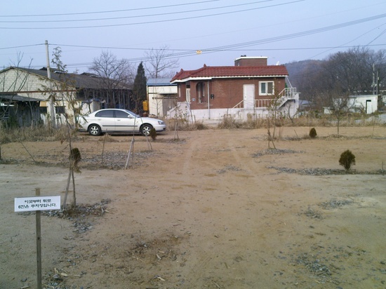 느티나무그늘아래캠핑장 이미지
