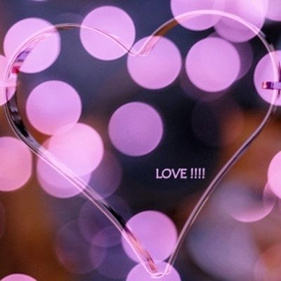 하얀기쁨 이미지