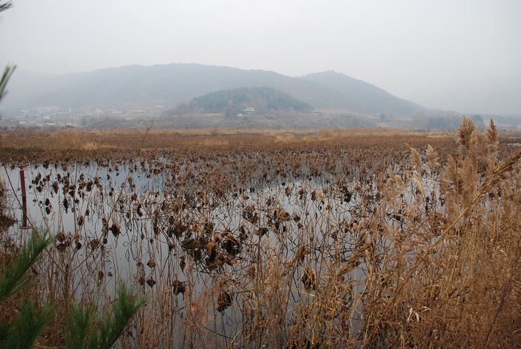 지촌초등학교 이미지