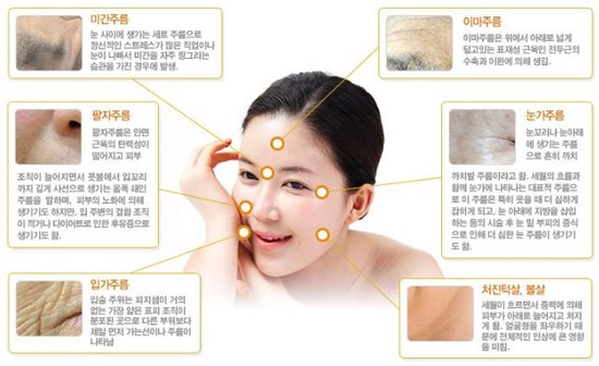 정안에너지 이미지