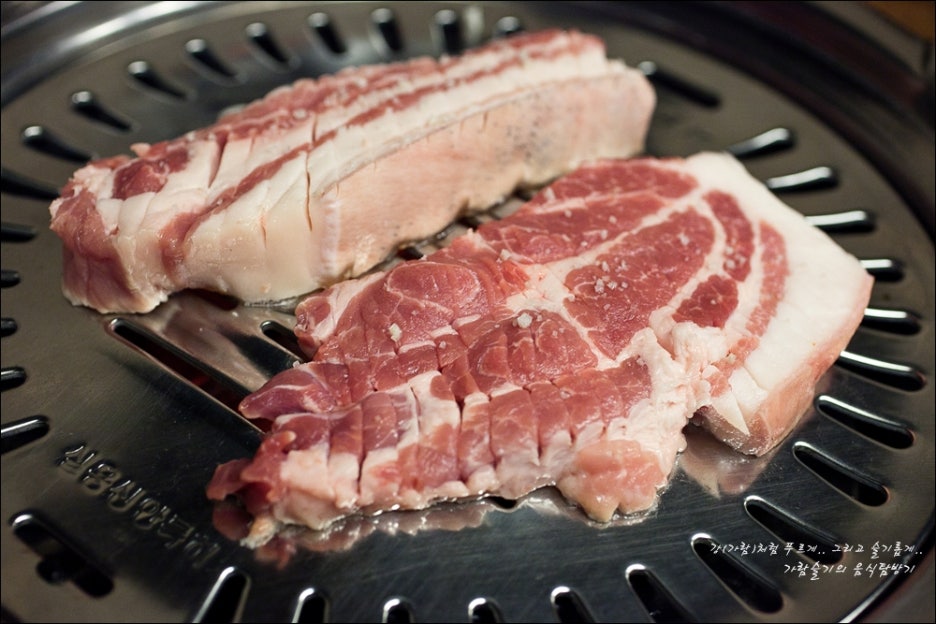 제주흑도야지 이미지