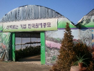 한국원예종묘 이미지