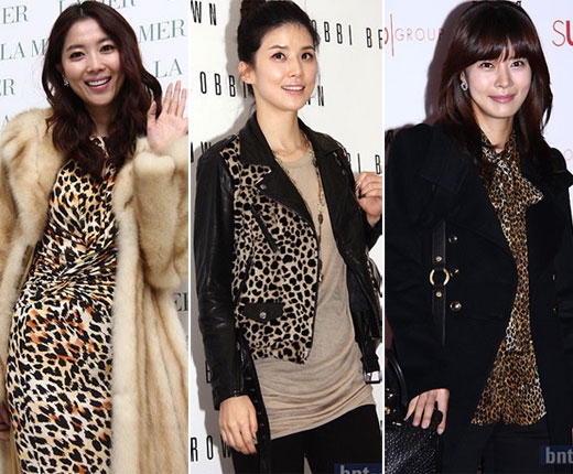 플레이애니멀 이미지
