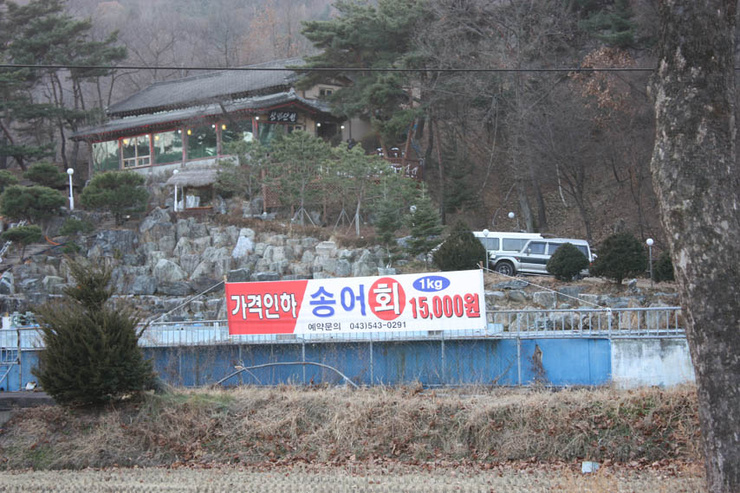 삼년산성송어장 이미지