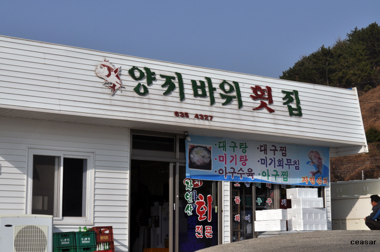 양지횟집 이미지