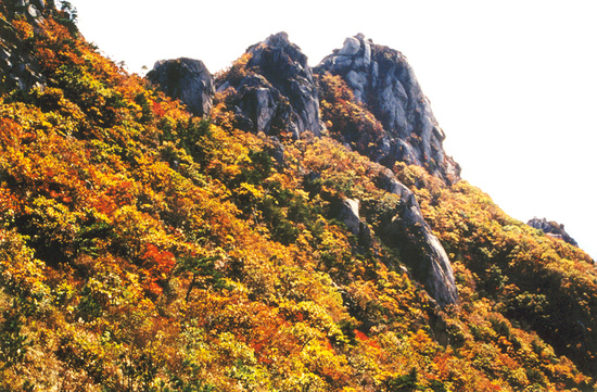 명승1 이미지