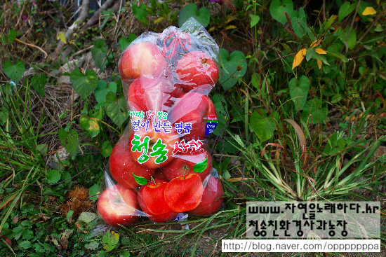 어진환경 이미지