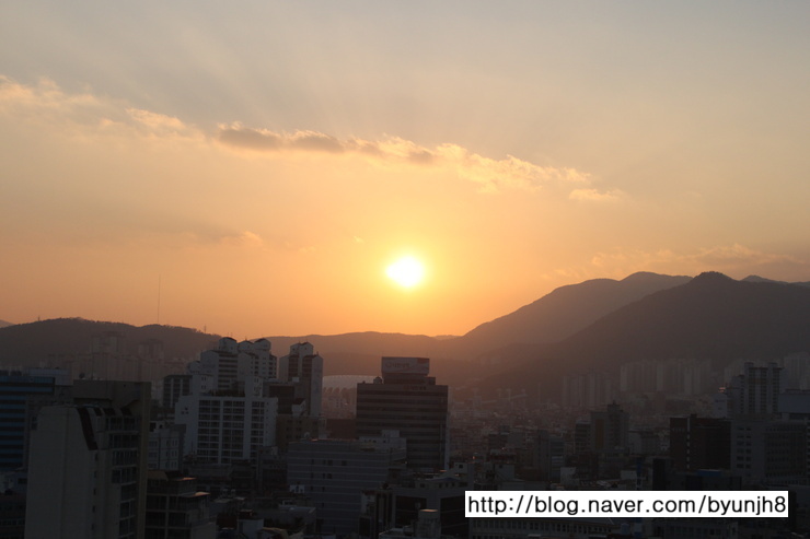 대우식육점 이미지