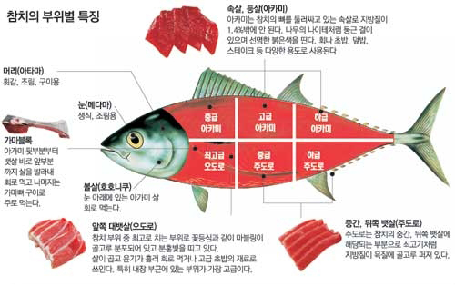 청참치 이미지