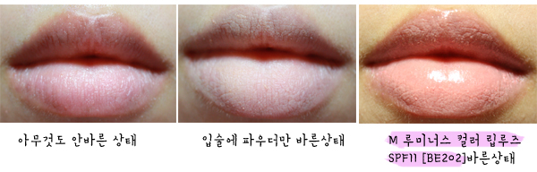 고플립 이미지