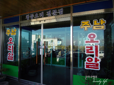 싱싱오리 이미지