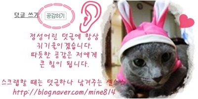 라이즈커넥션 이미지