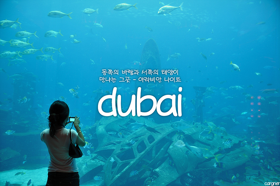 시작에머물다 이미지