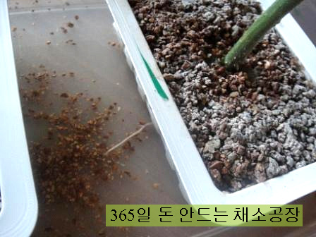 수경마트 이미지