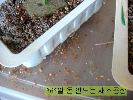 수경마트 이미지
