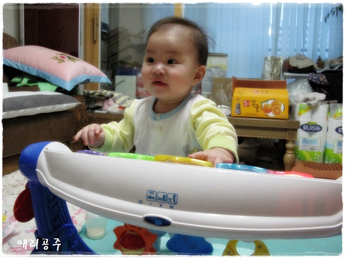 마에스트로박 이미지