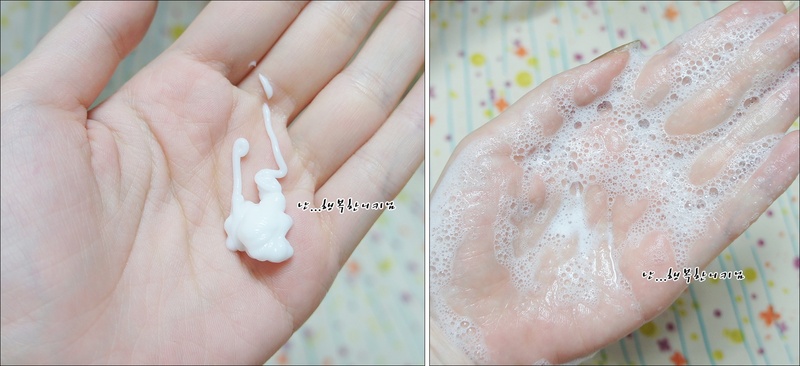 지이앤 이미지