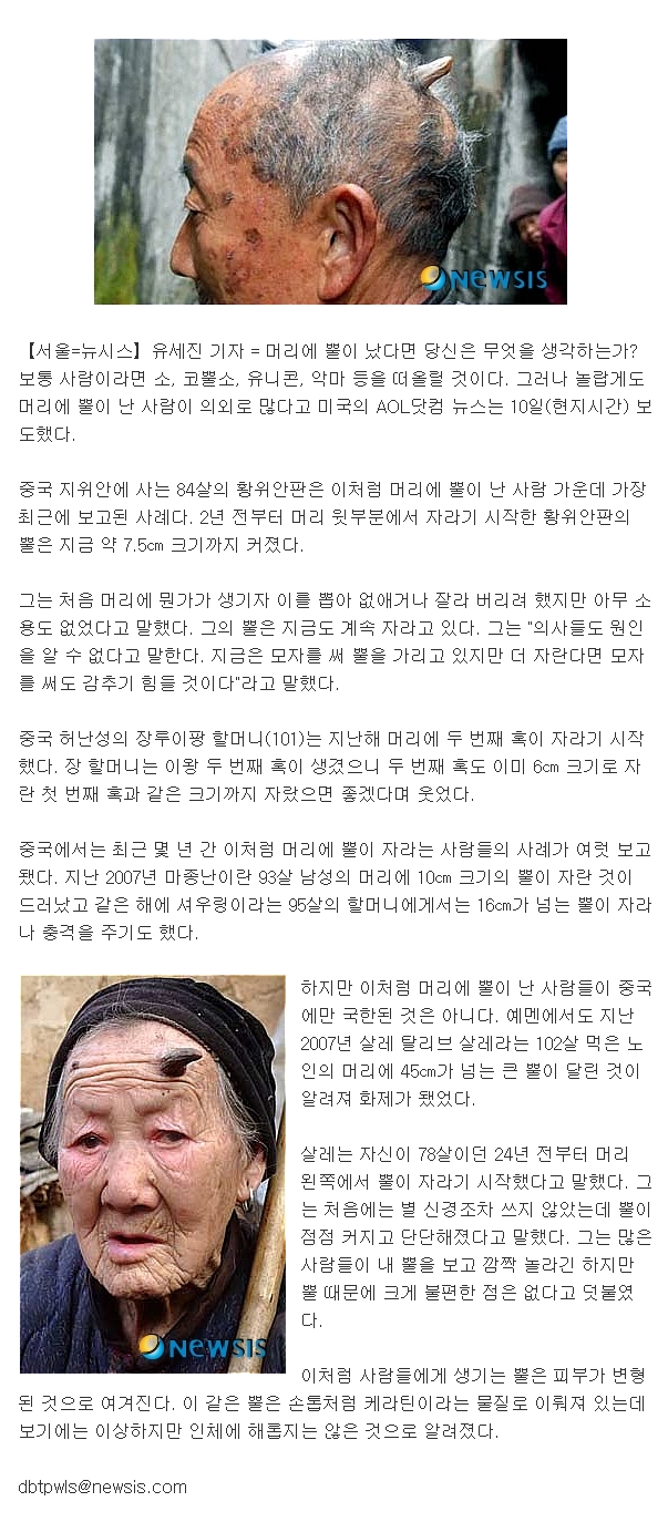 뿔난머리 이미지