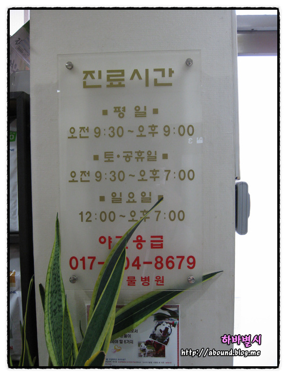 정종합 이미지