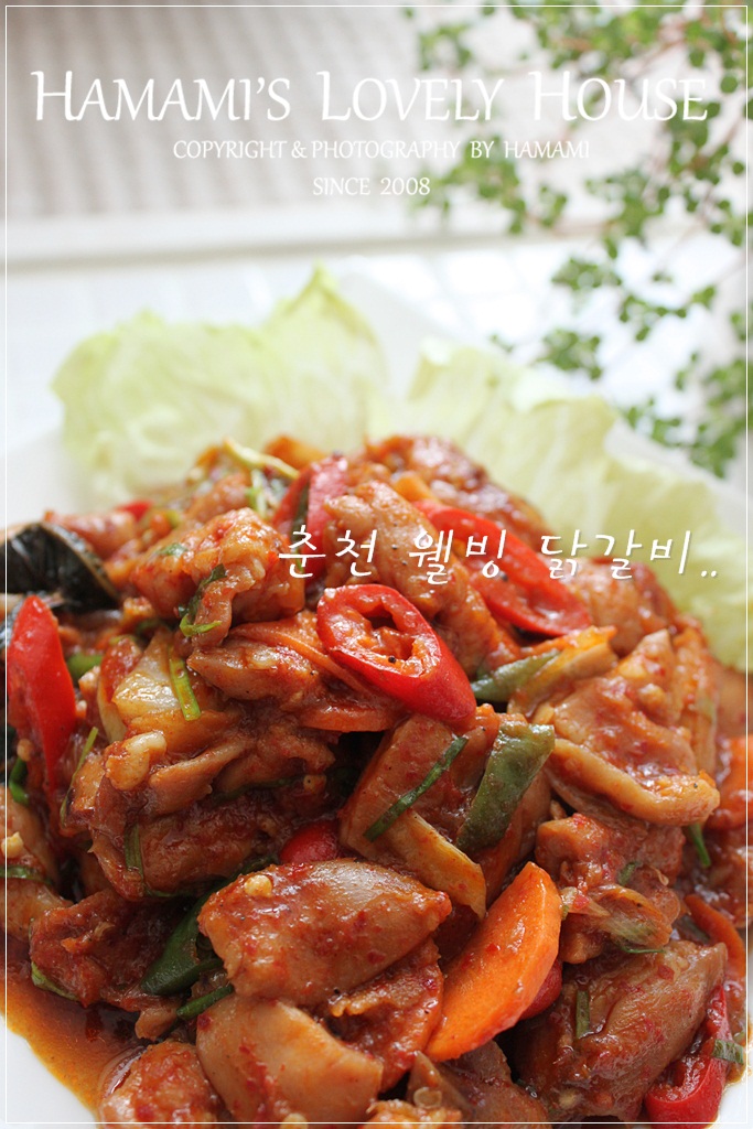 웰빙닭갈비전 이미지