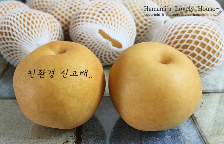 지은농산 이미지