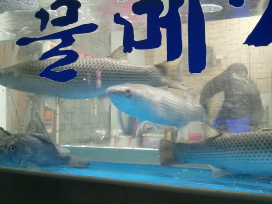 부원식당 이미지