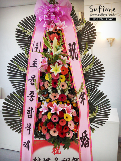 미남상조 이미지