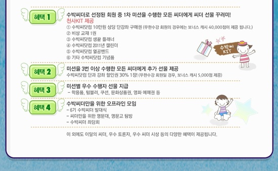 씨더 이미지