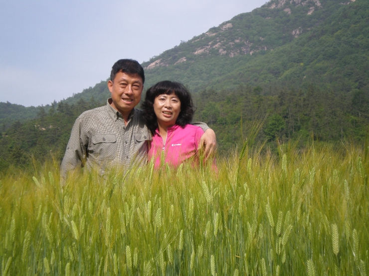 보성완도 이미지