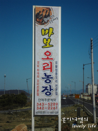 바보오리농장 이미지
