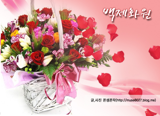 대림화원 이미지