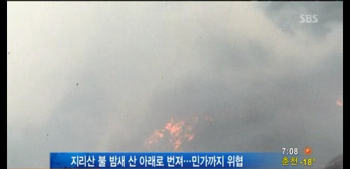 지리산청과 이미지