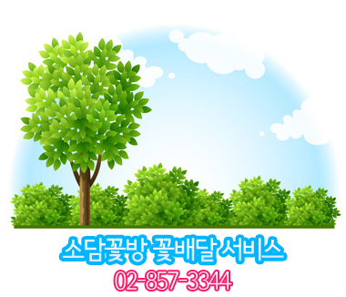 소담꽃방 이미지