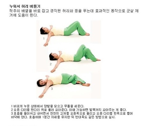 뱃살집 이미지