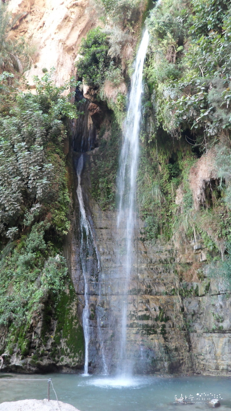 엔게디(Ein Gedi) 이미지