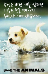 같이 이미지