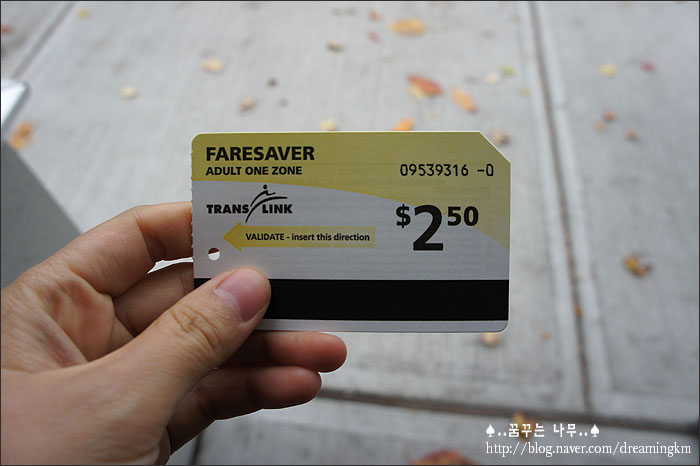 한아름여행사 이미지
