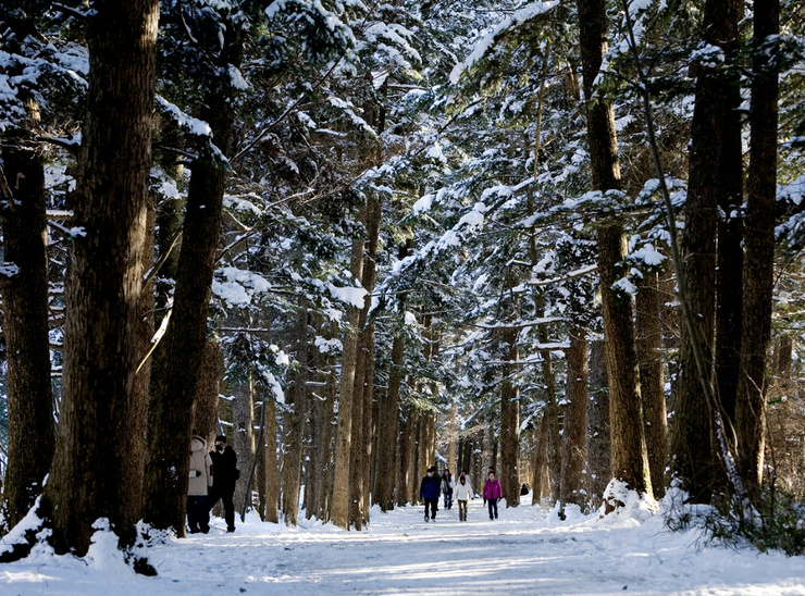변산(회)반도 이미지