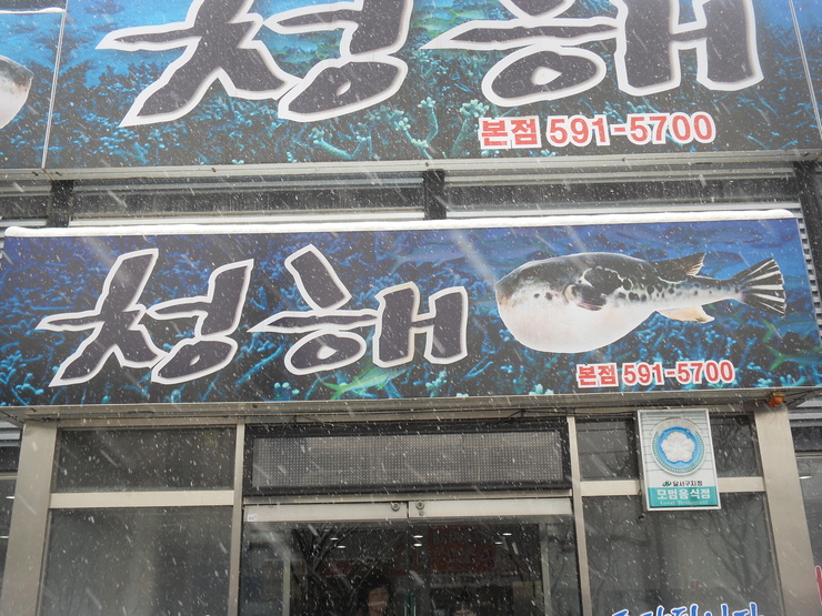 청해복어 이미지